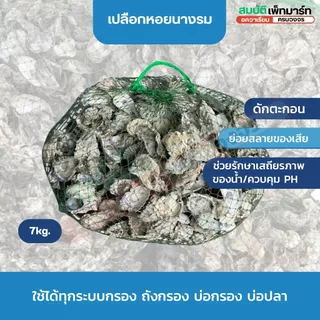 เปลือกหอยนางรม บรรจุถุงตาข่าย พร้อมใช้งาน ตัวช่วยน้ำดี-ปลาแข็งแรง 1kg/6-7kg