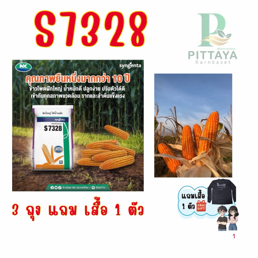 เมล็ดพันธุ์ข้าวโพด เอ็นเค S7328 ขนาด 10 กิโลฝักใหญ่ น้ำหนักดี ทนน้ำ ผลผลิตสูง