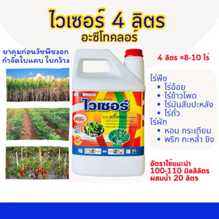 อะซีโทคลอร์ ไวเซอร์ 4 ลิตร ยาคุมหญ้าในไร่มันสำปะหลัง ไร่อ้อย…