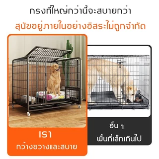 🐈Petorldog กรงแมว กรงแมวขนาดใหญ่ คอนโดแมวกรงแมวคอนโด กรงขังแมว กรงสัตว์เลี้ยง มีล้อและบันได แถมถาดฟรี