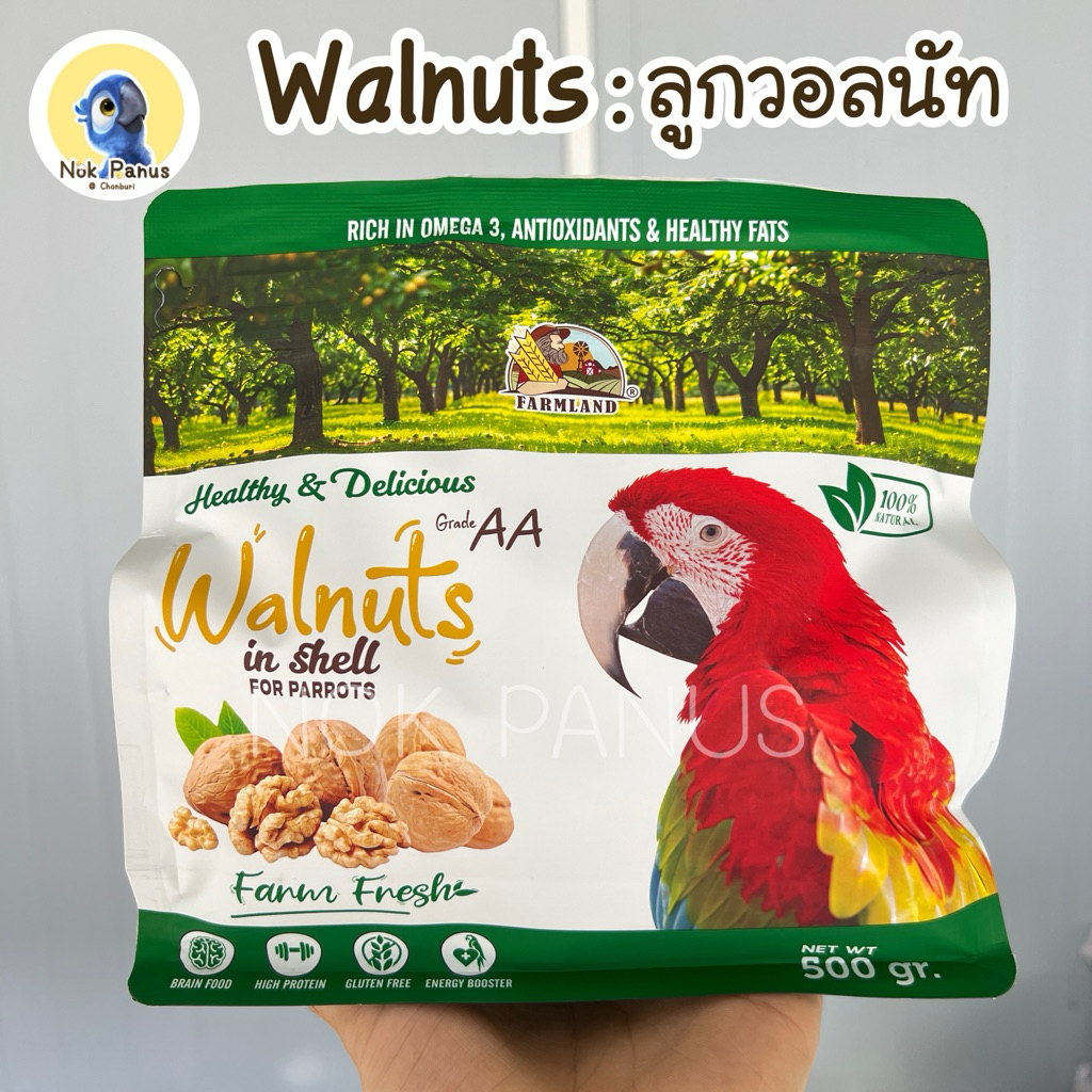 Farmland Walnuts วอลนัท เกรด A สำหรับนกแก้ว และสัตว์ฟันแทะ ถุงบริษัท 500 g.