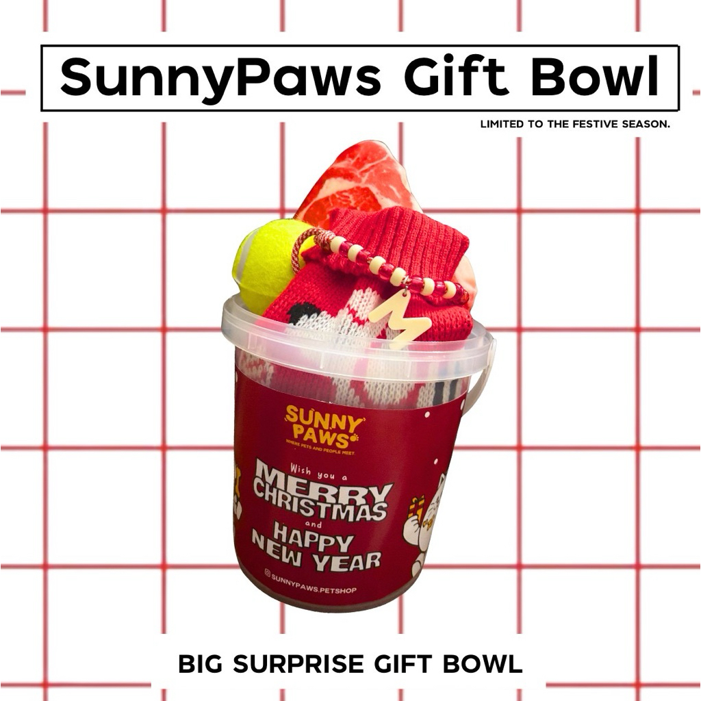 SunnyPaws Big Surprise Gift Bowl