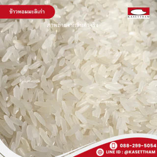 19 กก. ข้าวหอมมะลิเก่าคัดพิเศษ100%เม็ดสวยไม่มีหัก ข้าวสารตราส้มเขียวหวาน คุณภาพดีราคาโรงสี ส่งฟรี สั่ง 2 ถุงคุ้มค่าส่ง O