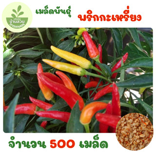 เมล็ดพันธุ์พริกกะเหรี่ยง จำนวน 500 เมล็ด