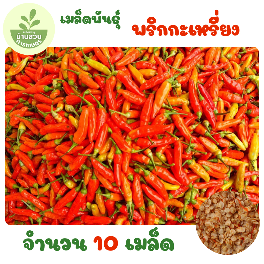 เมล็ดพันธุ์พริกกะเหรี่ยง จำนวน 10 เมล็ด