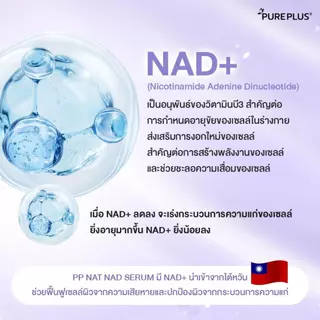 ของแท้!!Pureplusเซรั่มพีพี PP NAT NAD SERUM เซรั่มกู้ผิวนุ่นวรนุช ฟื้นคืนความอ่อนเยาว์ให้ผิวด้วยนวัตกรรม NAD+ 1 ขวด 30ml