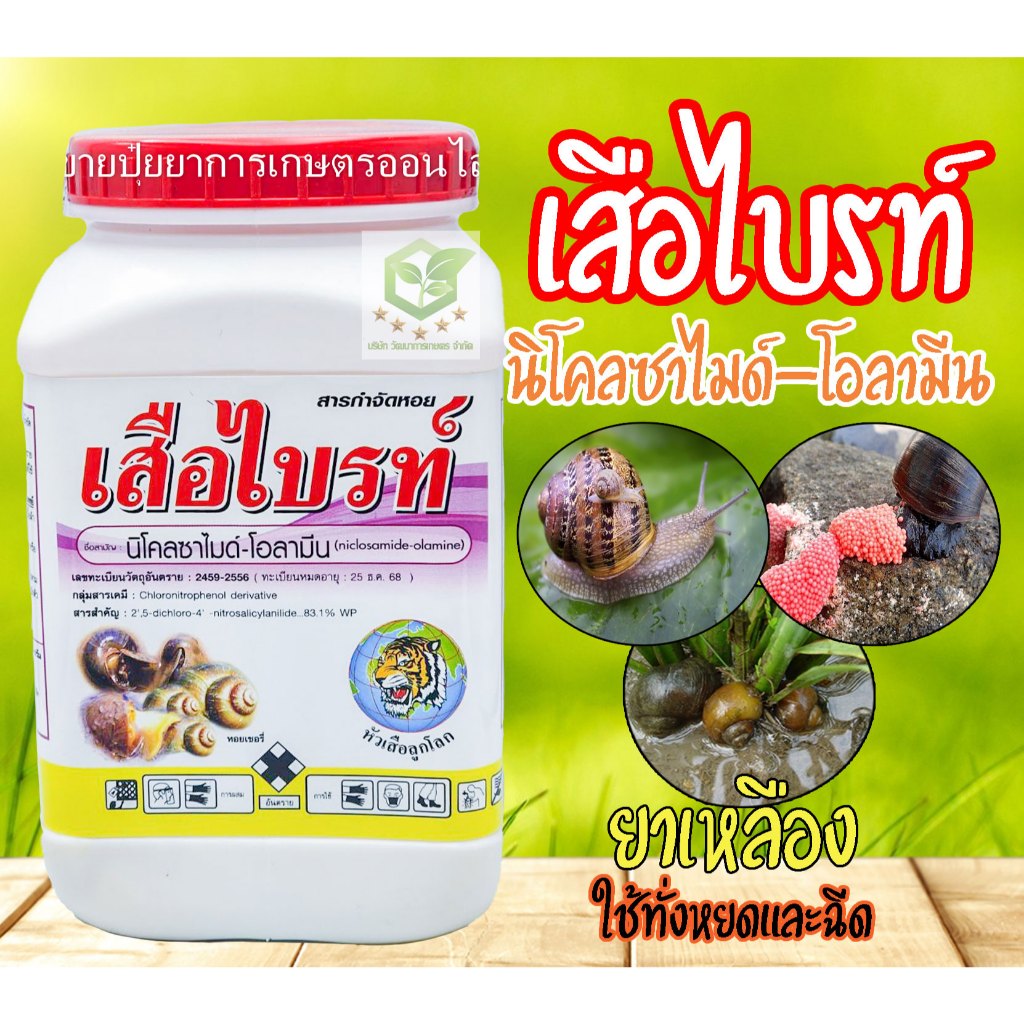 เสือไบรท์ 500 กรัม นืโคลซาไมด์ - โอลามีน ยาเหลือง ผลเหลือง กำจัดหอย หอยเชอรี่ ยาฆ่าหอย นาข้าว