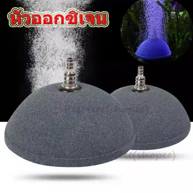 ถูก🎉หัวทรายออกซิเจน หัวออกซิเจน  หัวทรายหลังเต่า ออกซิเจนตู้ปลา หัวทรายละเอียด หินฟองอากาศ