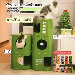 บ้านแมว คอนโดแมว บ้านมีรู 2ชั้น 3ชั้น คอนโดแมวทรงกระบอกดีไซน์ญี่ปุ่น แข็งแรงทนทาน สามารถปีนได้