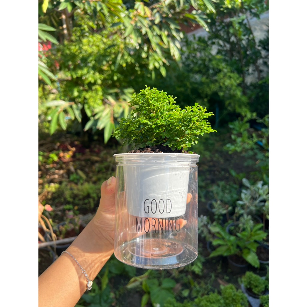 มุมมอง 2