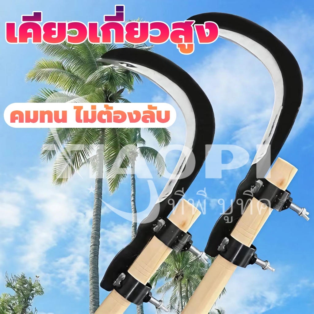 มีดขอเกี่ยวผลไม้ เคียวเกี่ยวผลไม้บนที่สูง ไม่ต้องปีนป่าย ให้เสี่ยงอันตราย เหล็กแมงกานีสขนาดใหญ่หนาคม ราคา ถูกที่สุด ดีลบีเคเค แกลเลอรีภาพที่ 2