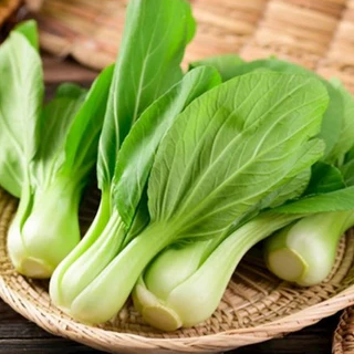 กวางตุ้งฮ่องเต้📌ถูกที่สุด10บ.🎯เมล็ดพันธุ์กวางตุ้งฮ่องเต้100-600เมล็ด🎯☘️งอกง่าย🌱 โตไว☘️ทานอร่อย