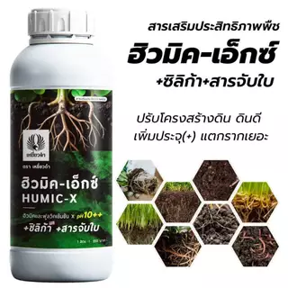 ฮิวมิค 1L ฟูลวิคน้ำ สารปรับปรุงดิน เสริมระบบราก แก้ดินแน่น ดินแข็ง ดินเป็นกรด ปุ๋ยเหยี่ยวดำ ปุ๋ยน้ำ