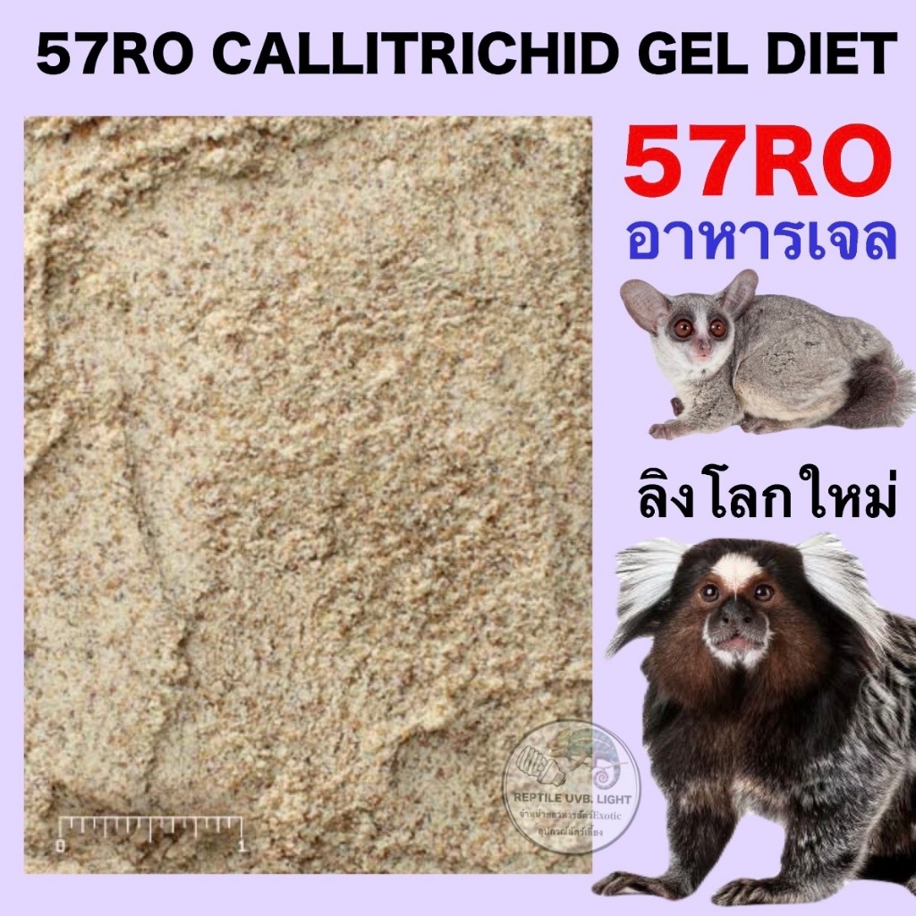 เจลลิง อาหารเจล CALLITRICHID GEL DIET – HEAT STABLE มาโมเสท บุชเบบี้ ลิงกระลอก