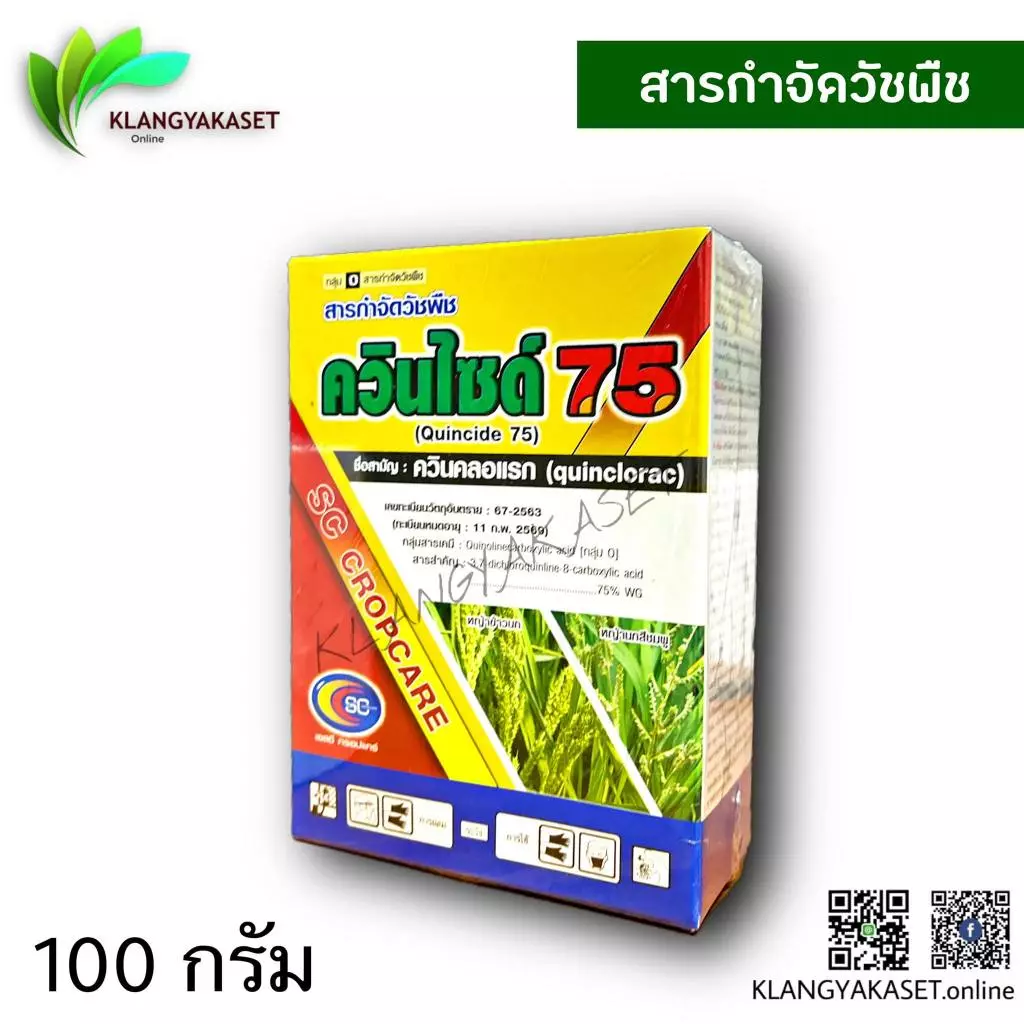 ควินไซ ควินคลอแลก75 ขนาด100 กรัม กำจัดหญ้าพุ่มพวง ลิเก หญ้าเดือย หางหมา 1 กล่อง10 ไร่