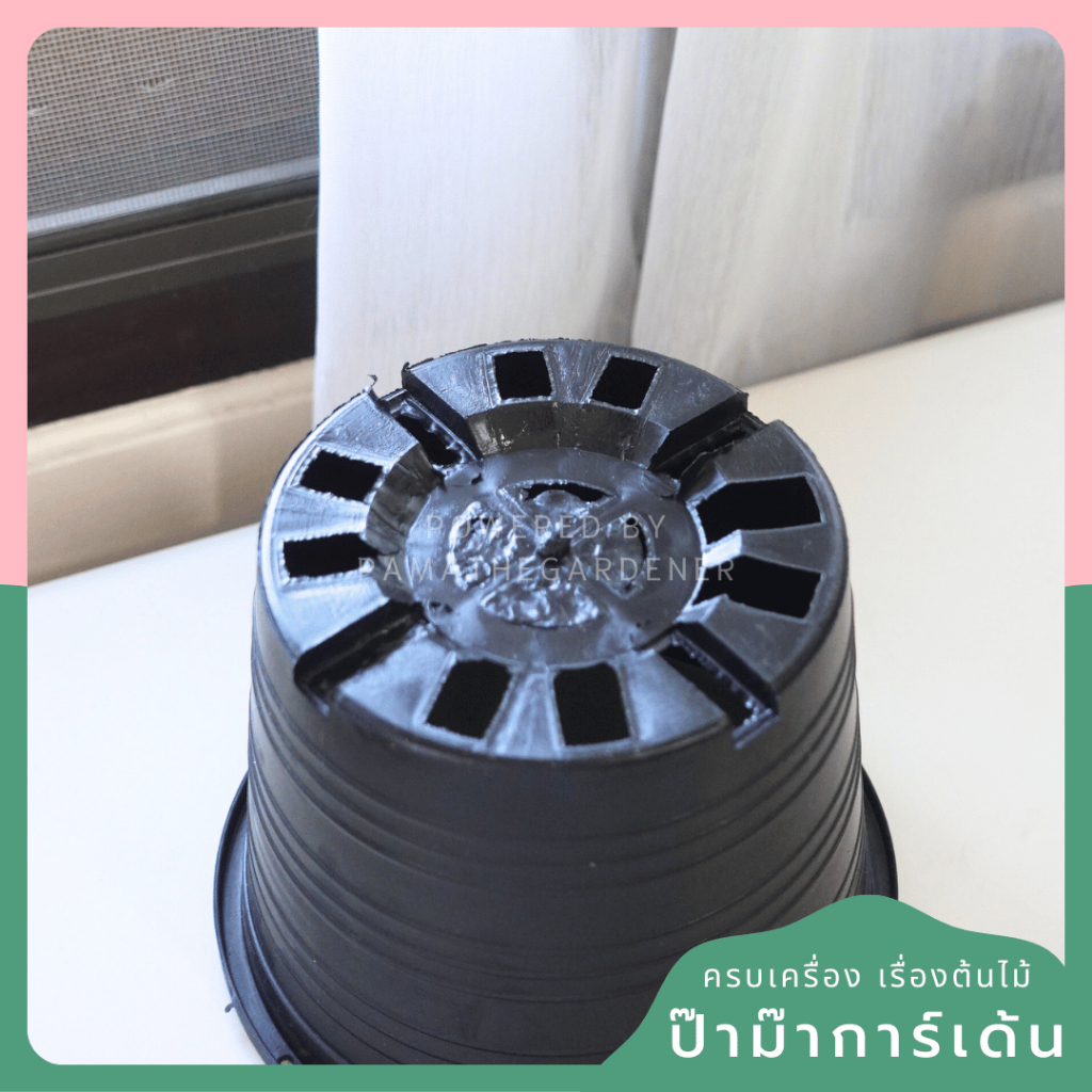 มุมมอง 4