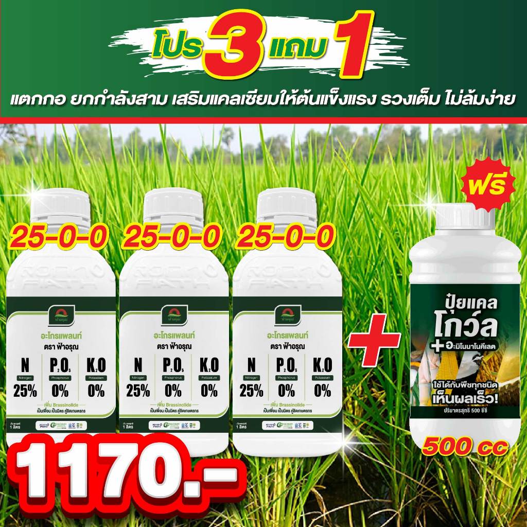 ต้องการข้าวแตกกอ ใบเขียวเข้ม โตไว แตกกอแน่น ไนโตรเจนจัดเต็ม ใบตั้ง ลำต้นอวบ เร่งฟื้นหลังฝนได้เยี่ยม 25-0-0 ตัวแรงแตกกอไว ราคา ถูกที่สุด ดีลบีเคเค แกลเลอรีภาพที่ 5
