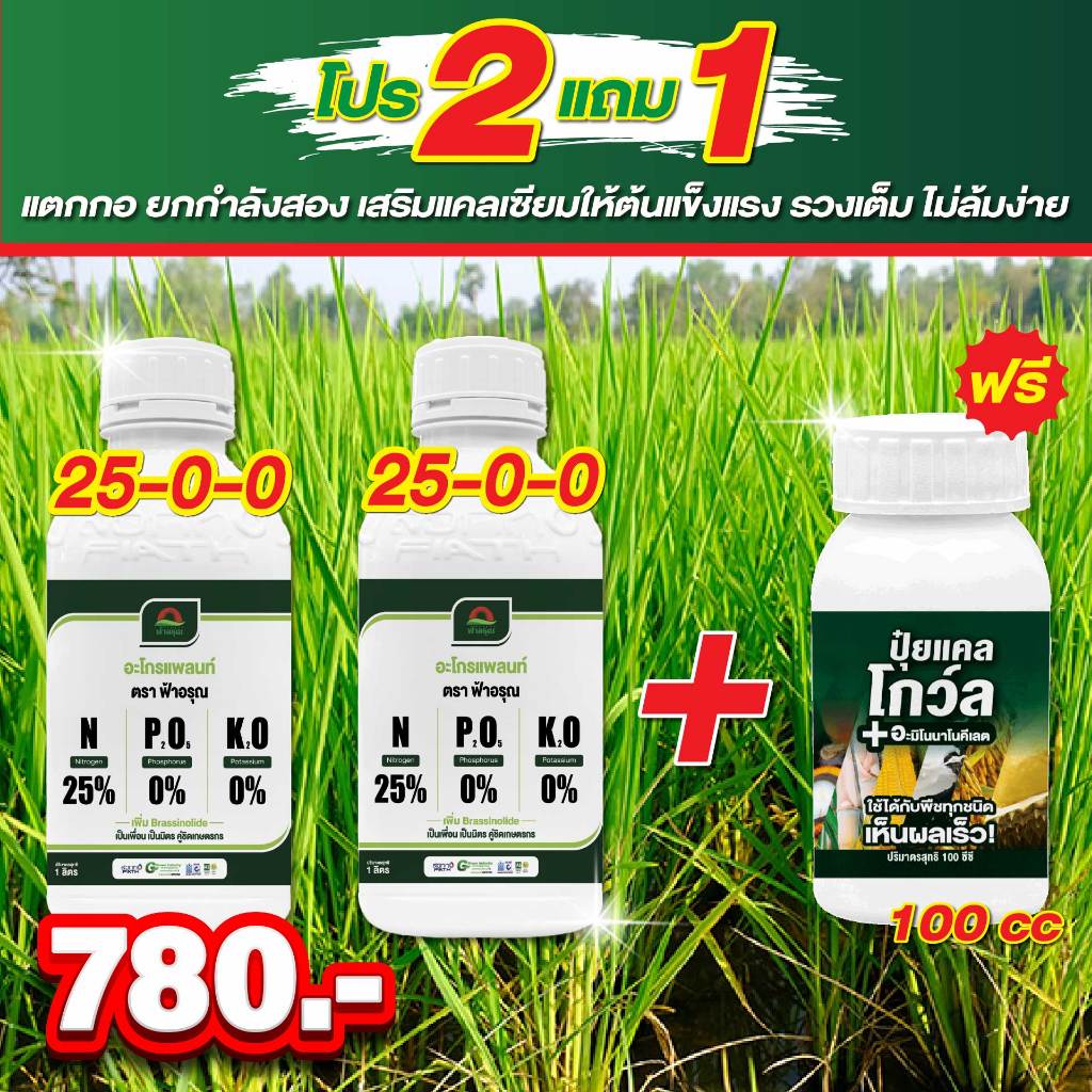 ต้องการข้าวแตกกอ ใบเขียวเข้ม โตไว แตกกอแน่น ไนโตรเจนจัดเต็ม ใบตั้ง ลำต้นอวบ เร่งฟื้นหลังฝนได้เยี่ยม 25-0-0 ตัวแรงแตกกอไว ราคา ถูกที่สุด ดีลบีเคเค แกลเลอรีภาพที่ 4