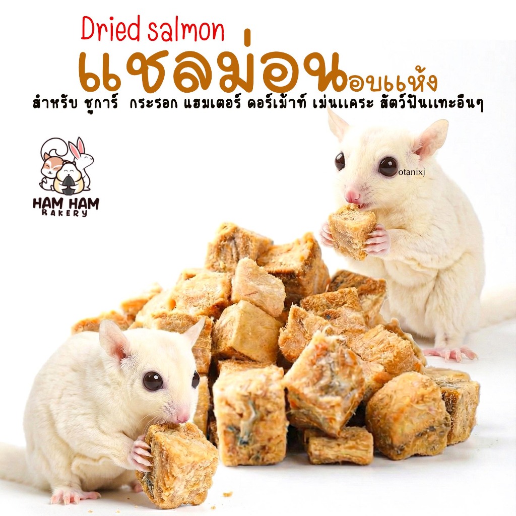 (Ham Ham Bakery) แชลมอนอบแห้ง (กะปุกทดลอง) ขนมหนูเเฮมเตอร์ หนูแฮมสเตอร์ กระรอก ชูการ์ เม่นเเคระ เเฟตเทล
