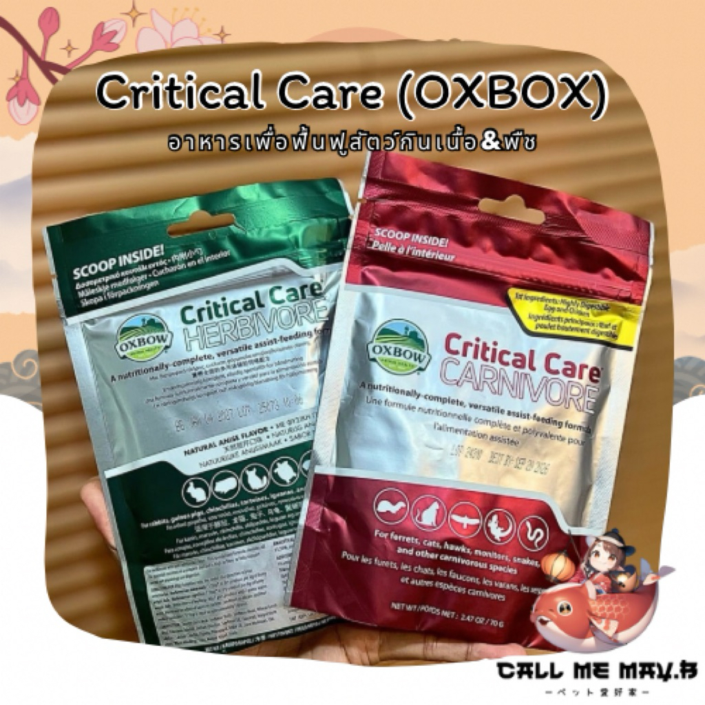 OXBOW Critical Care Carnivore&Herbivore อาหารสัตว์ป่วย | สำหรับสัตว์กินเนื้อและพืช