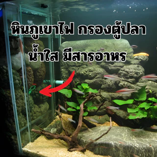 PPM หินภูเขาไฟ พัมมิส (Pumice) อินโดนีเซียแท้ เกรดพรีเมียม ระบายน้ำดีเยี่ยม แพ็ค 1 กิโลกรัม