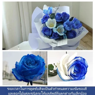 DLY สีย้อมดอกไม้, สารดูดซับสี, สีย้อมดอกไม้, เป็นมิตรต่อสิ่งแวดล้อมสำหรับร้านดอกไม้, ไม่ทำลายความสดของดอกไม้ 300 ml.