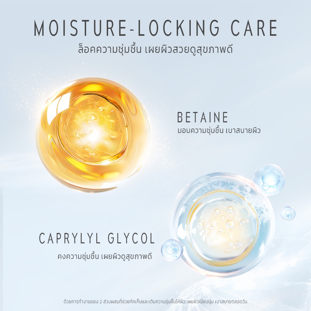 รูปภาพ 6