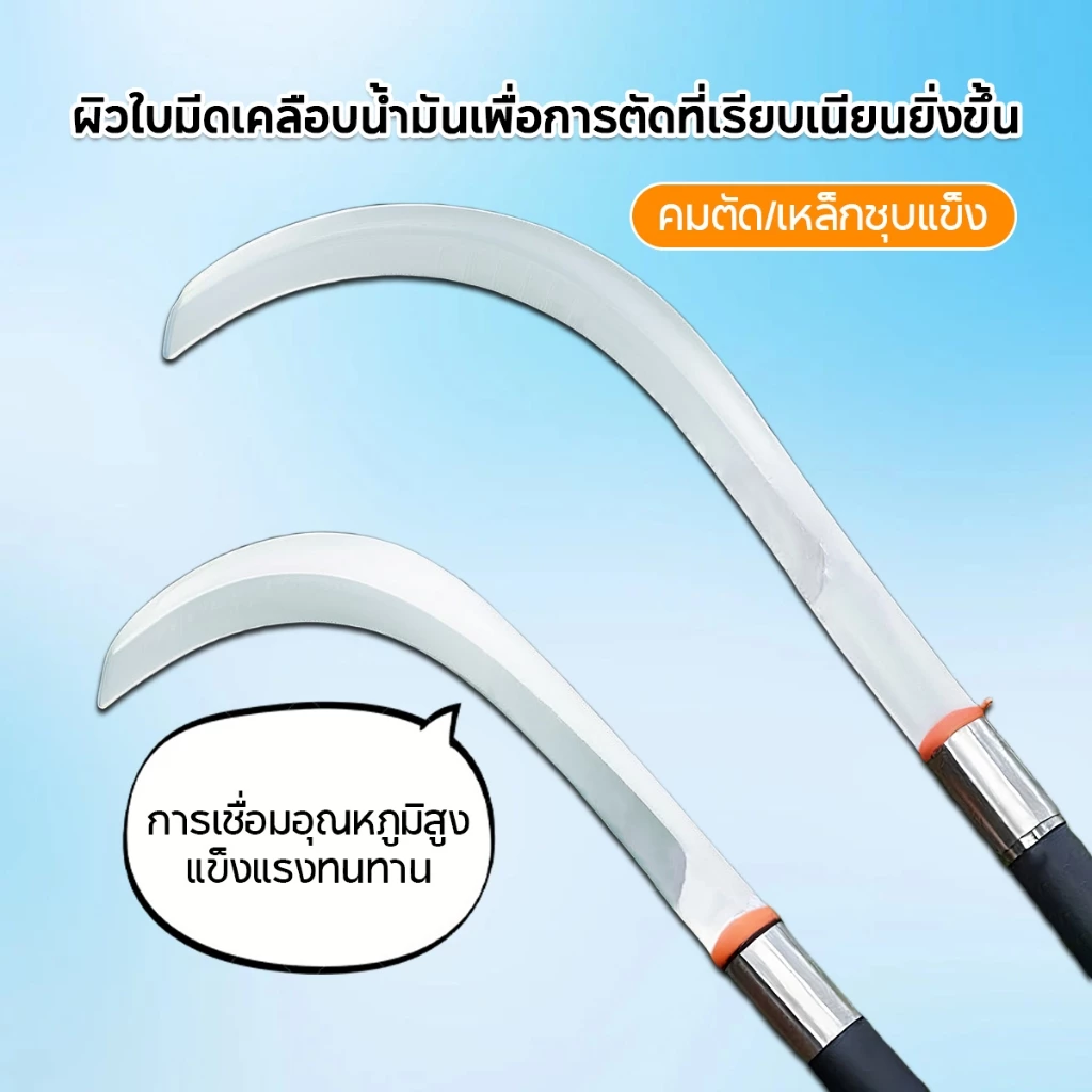 SK5 คมกริบ เหล็กแมงกานิส มีดพร้า มีดขอชัก มีดขอชักกล้วย ตัดแต่งใบกล้วย มีดตัดกล้วย มีดทำสวน มีดตัดแต่งกิ่งไม้ ด้ามยาว thumbnail 3