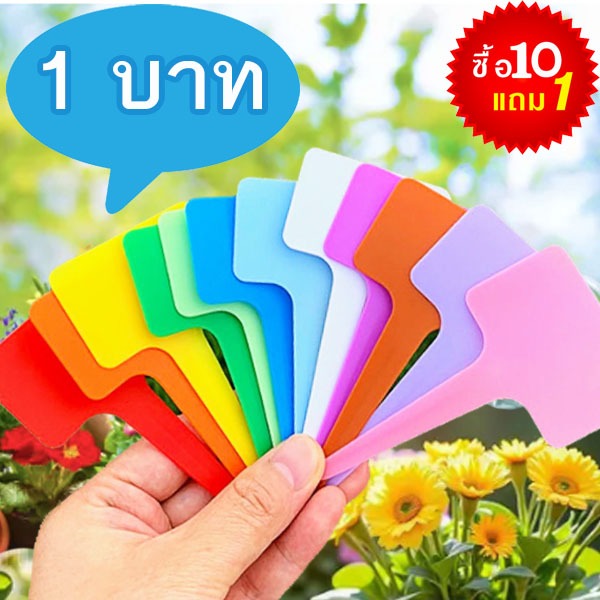 ป้ายชื่อต้นไม้รูปตัว T 🎯!ถูกที่สุด 2 บาท🎯ป้ายชื่อต้นไม้รูปตัวที🎯ใช้ง่าย🌱ทนน้ำ🎈ใช้ซ้ำได้🌱สะดวก🍅เขียนได้เยอะ