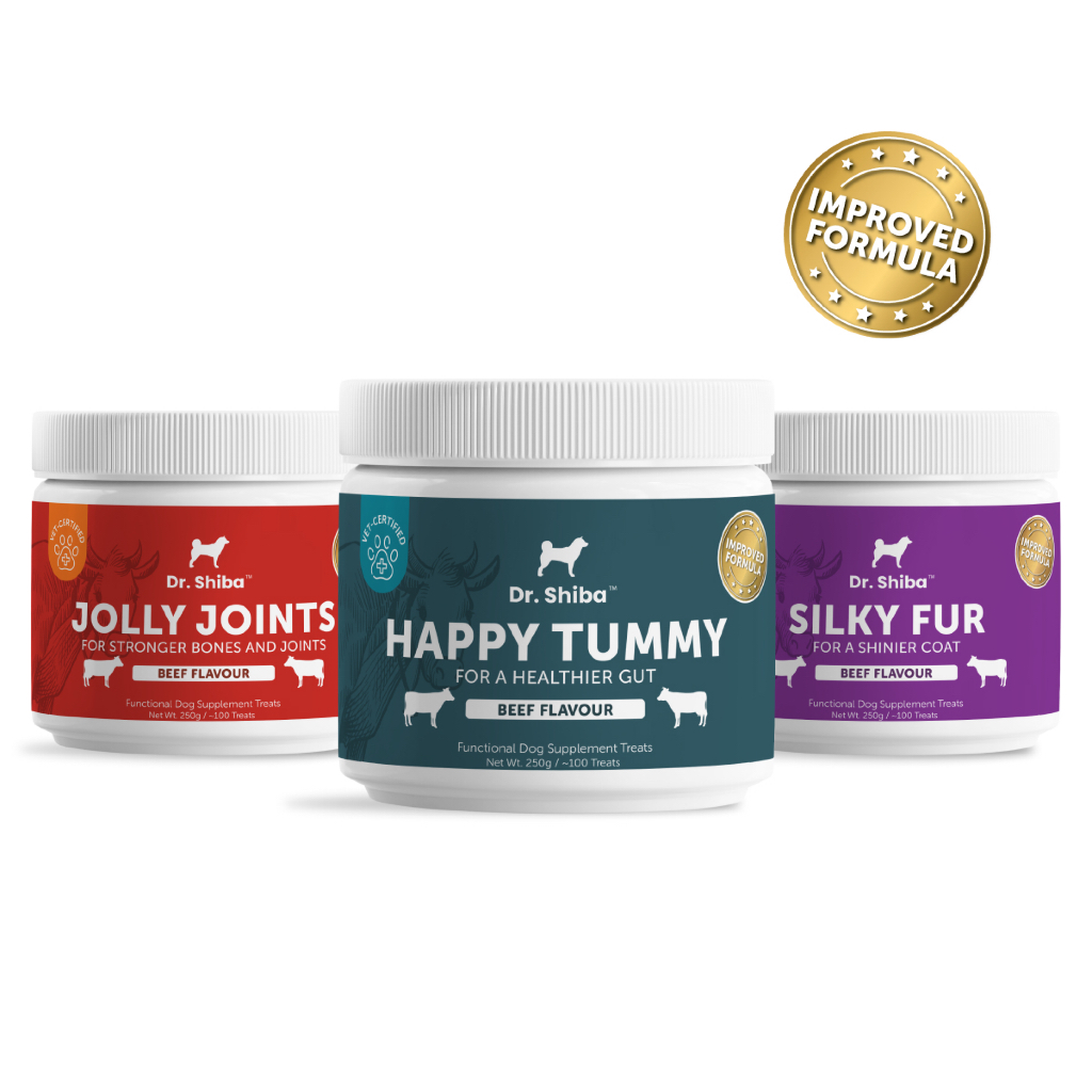 *พัฒนาสูตรใหม่* แพ็คสุดคุ้ม 3 สูตร Dr. Shiba Happy Tummy, Jolly Joints และ Silky Fur ทางเดินอาหาร, กระดูก และเส้นขน