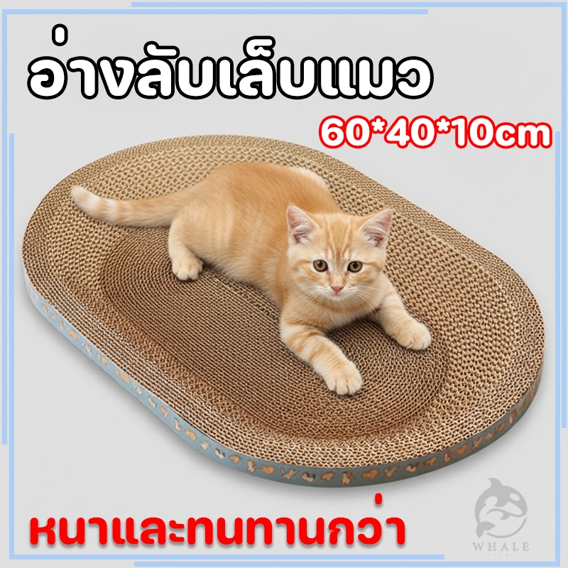 ที่ลับเล็บแมว+แคทนิป อ่างลับเล็บของเล่นแมว ที่นอนแมว 2in1 แผ่นลับเล็บ ที่ฝนเล็บสัตว์เลี้ยง