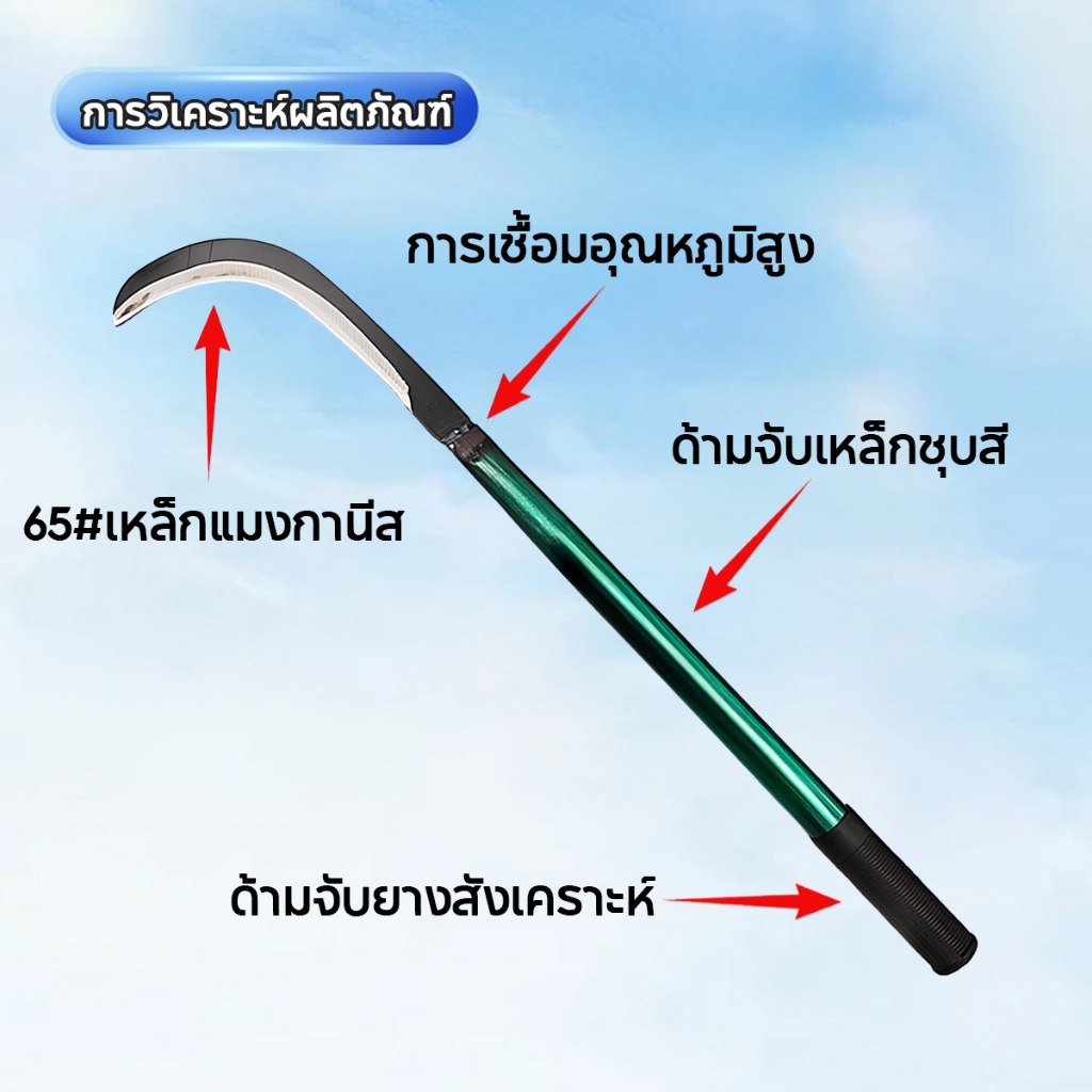 Thumbnail 9