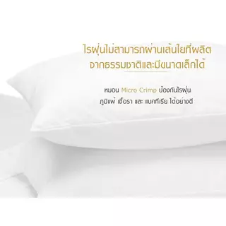 หมอนขนาดมาตรฐาน (19x29 นิ้ว) รุ่น Standard Soft (เส้นใย Micro Crimp)