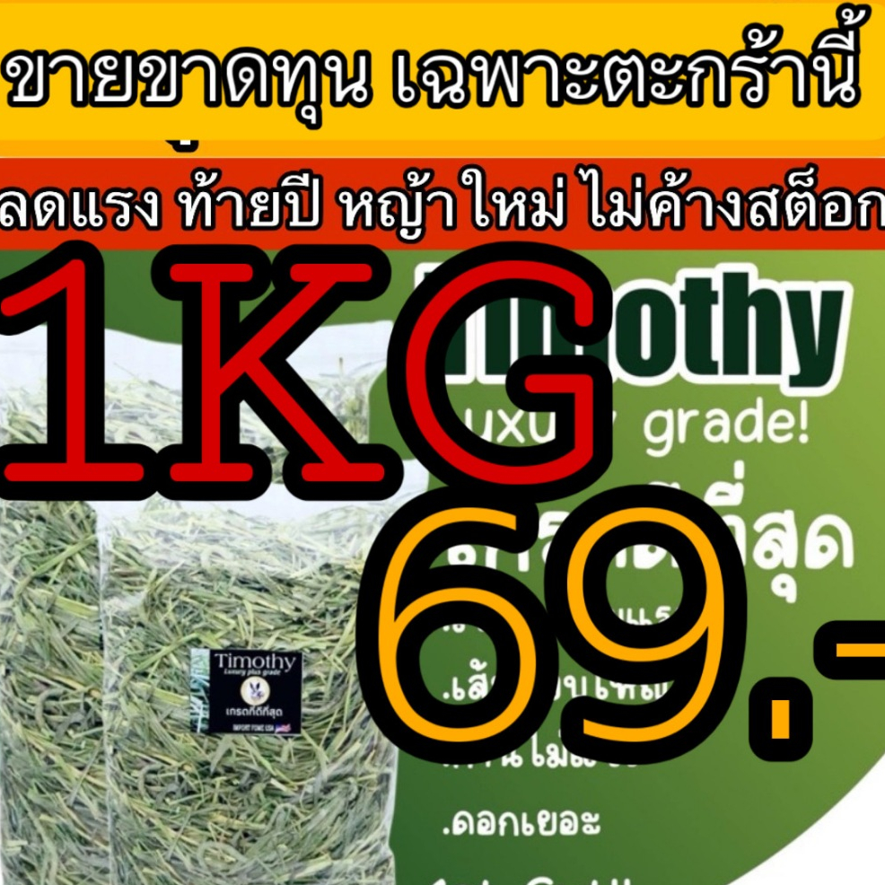 📌ดีที่สุดในปี ทิมโมธีเกรดลัคชูรี่