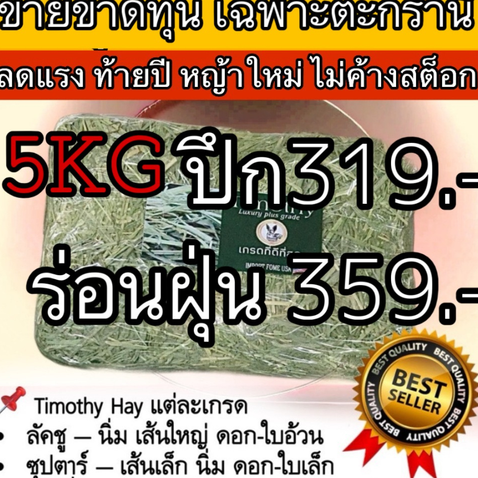 📌ตรึงราคาให้ชาวbunny📌 หญ้าทิมโมธีแบบปึก เส้นนิ่ม ดอกเยอะ