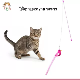 TCS ไม้ตกแมว นกหางยาว ของเล่นแมว ให้สัตว์เลี้ยงได้ออกกำลังกาย