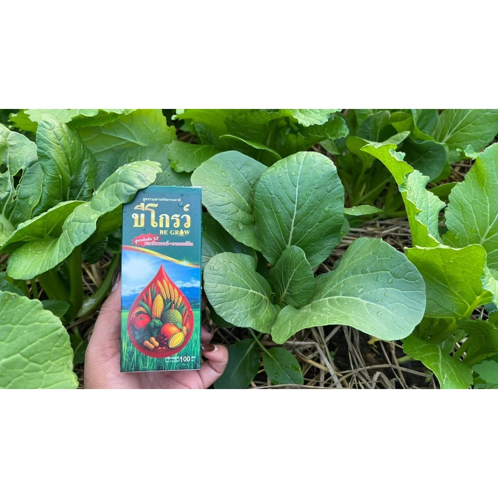 Be Grow บีออร์แกนิคโกรว์ 100 ซีซี 1 ขวด สารฟลาโวนอยด์+กรดอะมิโน