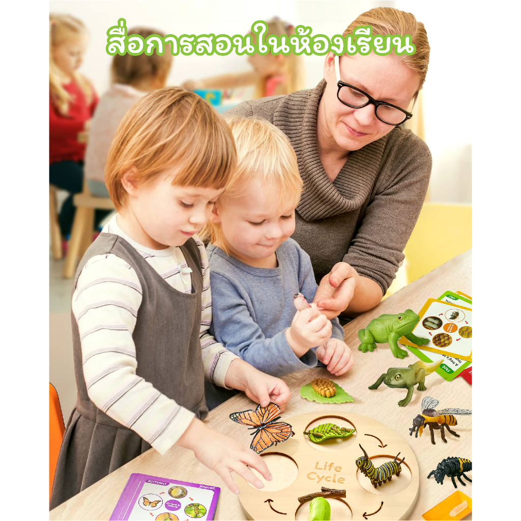 JoyCat ชุดเรียนรู้วงจรชีวิตสัตว์ 4in1 (Life Cycle) ของเล่นเสริมพัฒนาการเด็ก 3-8 ปี วัสดุเกรดพรีเมียม ปลอดภัย มาตรฐานสากล - รูปที่ 4