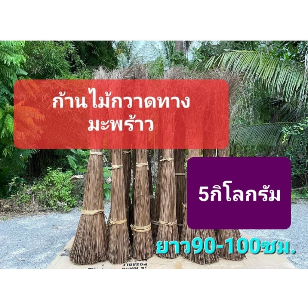 《พร้อมส่ง5กก.》ก้านไม้กวาดทางมะพร้าว ก้านไม้กวาด ก้านมะพร้าว สูง90-100ซม.ขึ้นไป