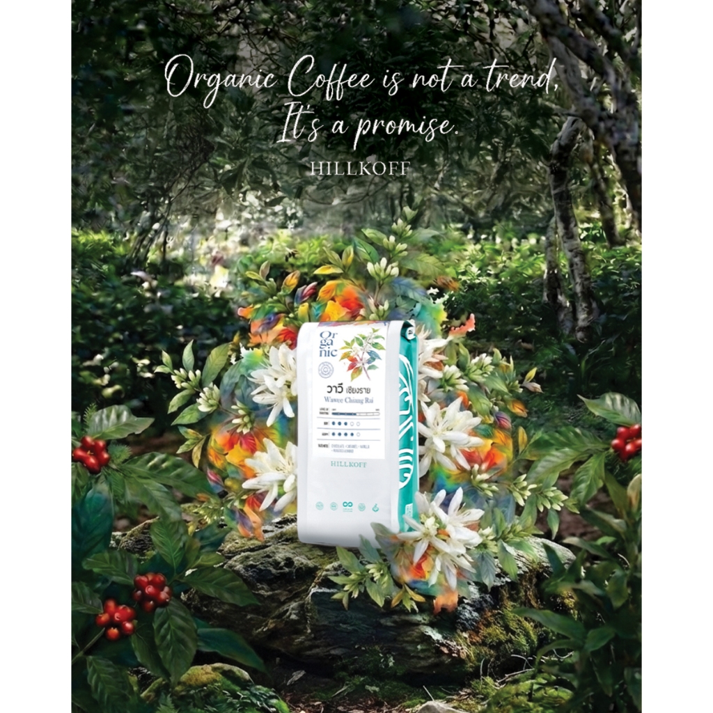 Hillkoff : Organic Wawee Arabica coffee Chiang Rai เมล็ดกาแฟคั่วอราบิก้า 100% ดอยวาวี จ.เชียงราย Single Origin ขนาด 250g