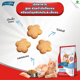 CAT n joy อาหารแมว สูตรกำจัดก้อนขนและบำรุงขน สำหรับแมวโต 1 ปีขึ้นไป รสแซลมอน ขนาด 400 กรัม