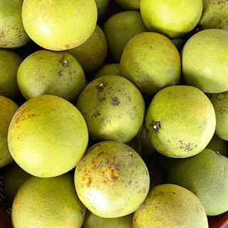 [พร้อมส่ง SETรสจัดจุใจ] ส้มโอ ผิวไม่สวย ขรุขระ ขาวใหญ่ ขาวน้ำผึ้ง ทองดี รสเข้ม รับประกันเนื้อ 7-9/ลูก ขีด