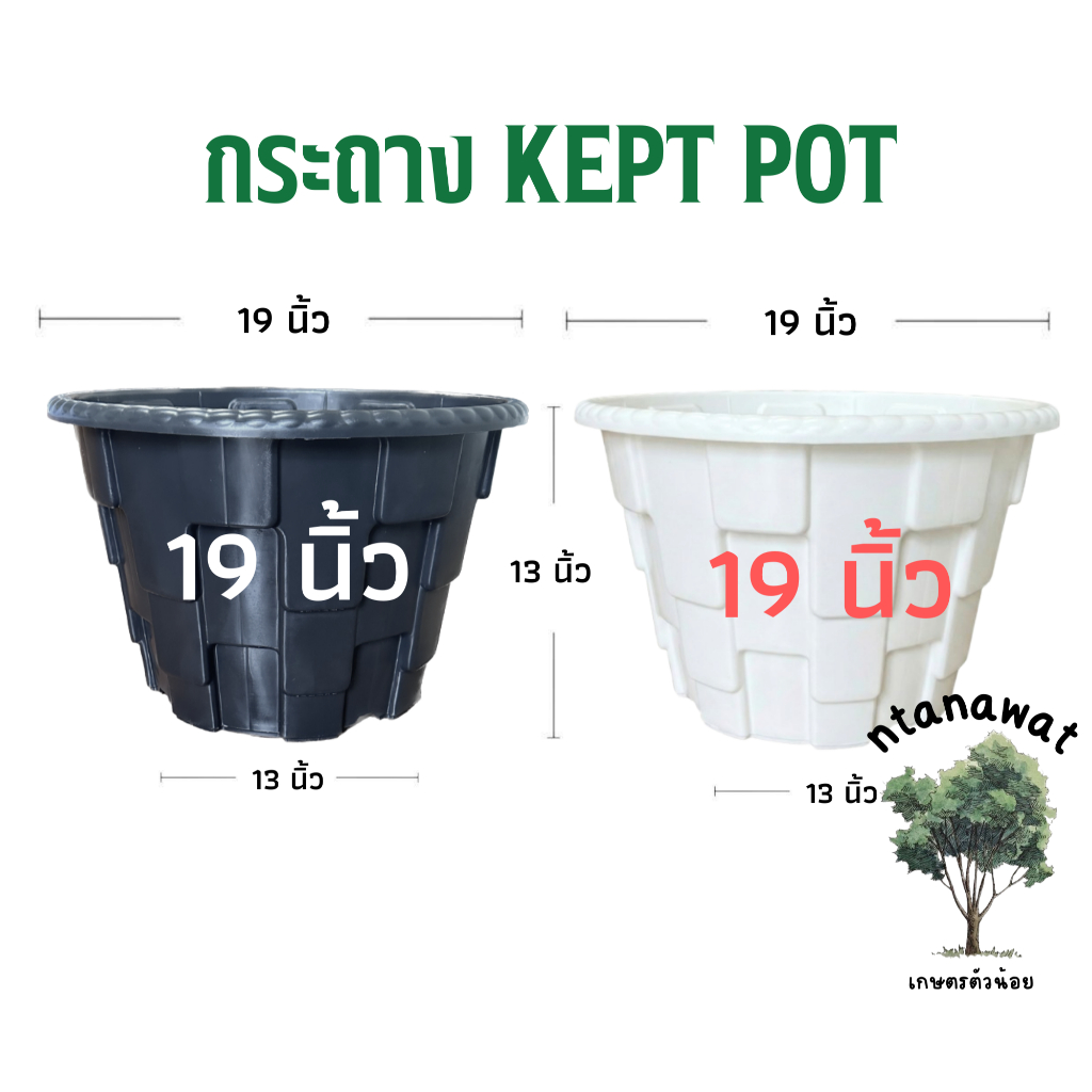 กระถางแอร์พอต 19นิ้ว Air Pot กระถางมีรู กระถางเร่งราก (พลาสติกเกรดA)