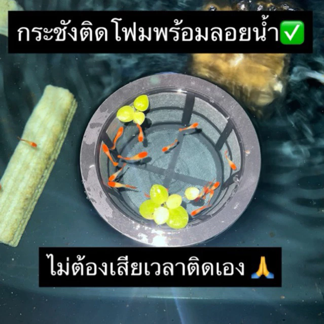 กระชังขังลูกปลาแรกเกิด DIY ลอยน้ำ / กรองใหญ่ฝาถังพ่นยาขอบ 11.8cm