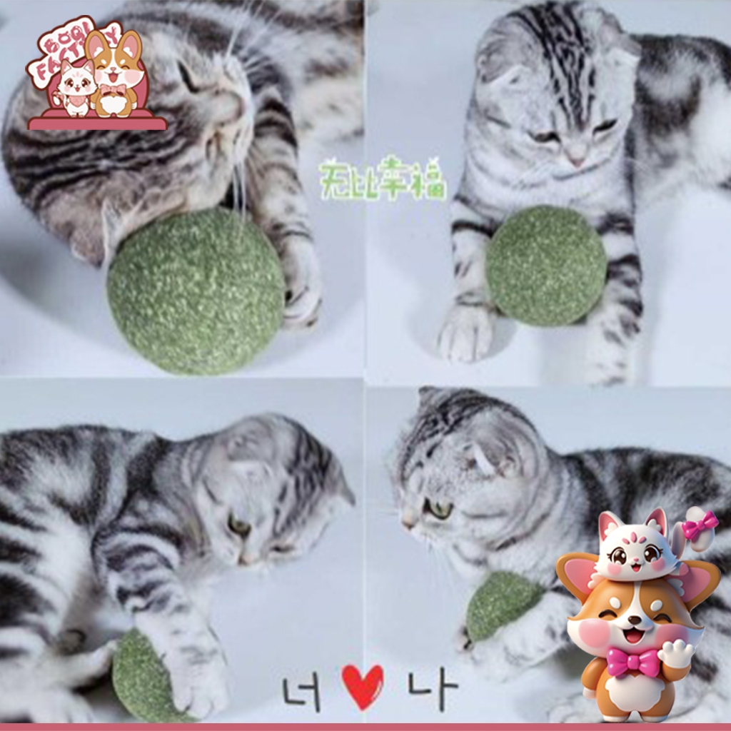 Boqi factory CatMint แคทมิ้นท์บอล เพื่อสุขภาพแมว XJ88