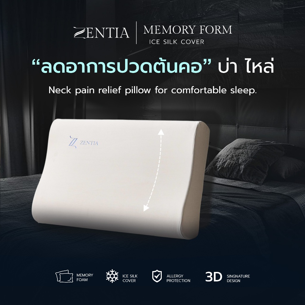 ZENTIA หมอนเพื่อสุขภาพ รุ่น MM-01 | นุ่ม คืนรูปไว ป้องกันไรฝุ่น ถอดซักได้