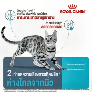 (แบบแบ่งขาย) ROYAL CANIN อาหารแมวโต ที่ต้องการดูแลสุขภาพทางเดินปัสสาวะ ชนิดเม็ด (URINARY CARE)