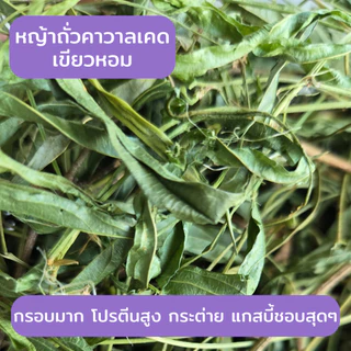 Happy Hay หญ้าถั่วคาวาลเคดเขียวหอม (500 กรัม) กรอบอร่อย โปรตีนสูง