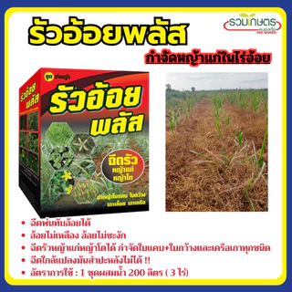 รัวอ้อยพลัส โฉมใหม่ (โปรโมชั่น) สูตรอัพเกรดเพิ่มจำนวนยาในชุด มีถึง 4 ตัว ออกฤกธิ์เร็วแรง ครบจบชุดนี้