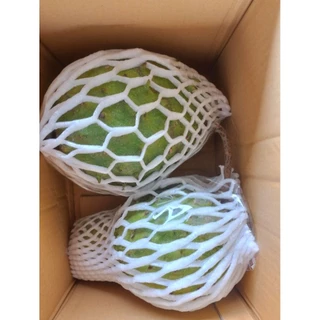 ลูกทุเรียนน้ำ ลูกทุเรียนเทศ ปลอดสารพิษ soursop